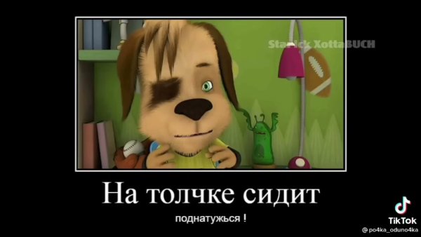 Демотивация Барбоскины