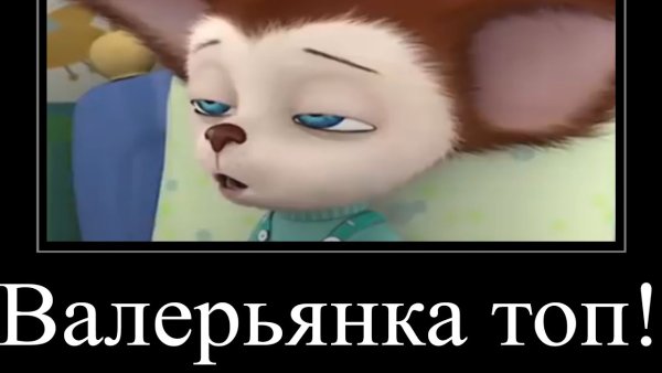 Мемы про Барбоскиных без мата
