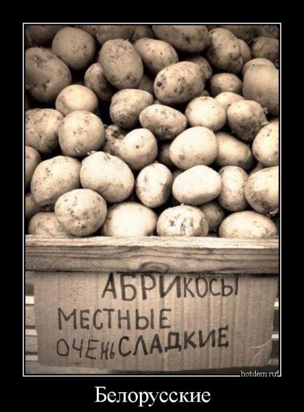 Шутки про картошку
