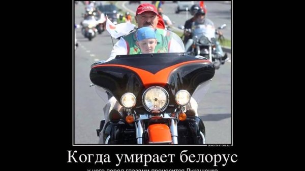 Белорусские демотиваторы