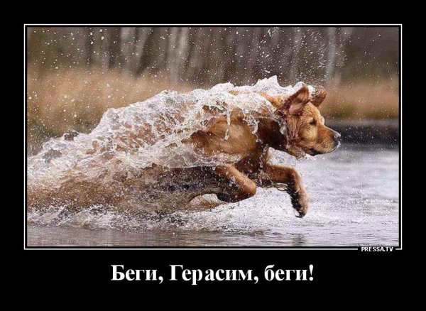Демотиваторы смешные