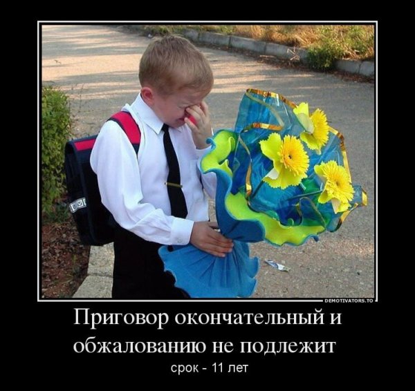 Приколы про учителей