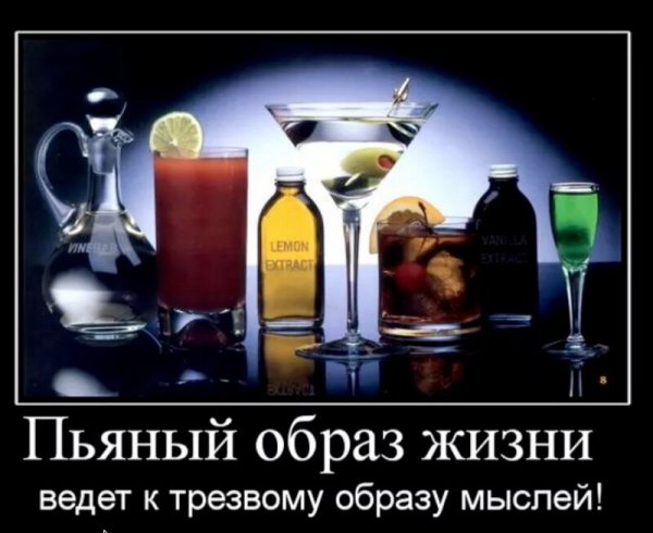 Демотиваторы на тему алкоголя