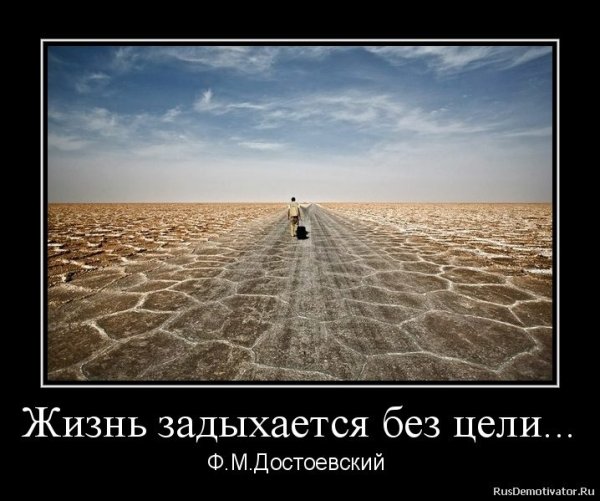 Демотиваторы про цель в жизни