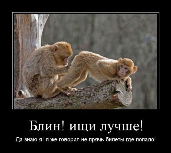 Угарные демотиваторы