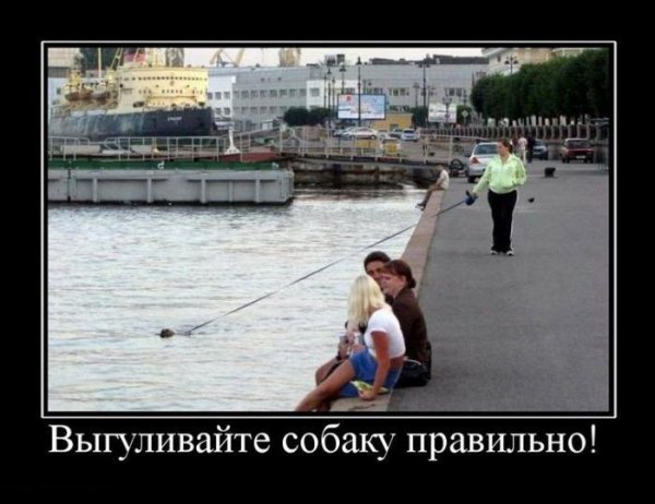 Смешные демотиваторы до слез