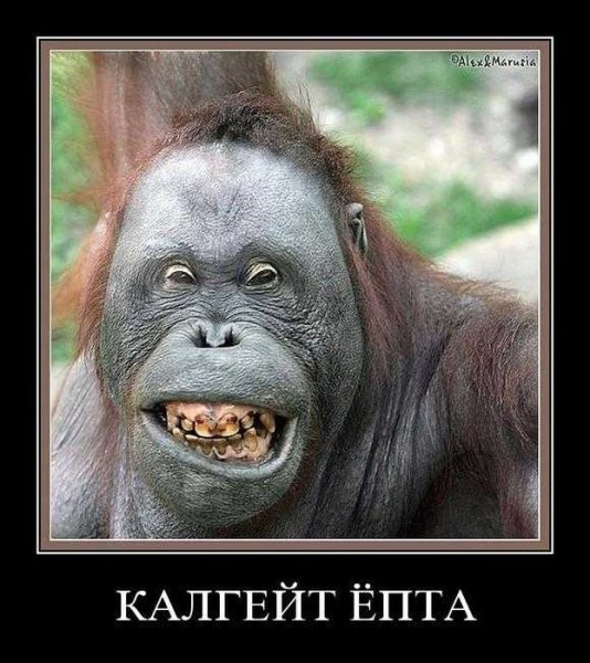 Очень смешные демотиваторы