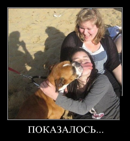 Смешные до слёз демотиваторы