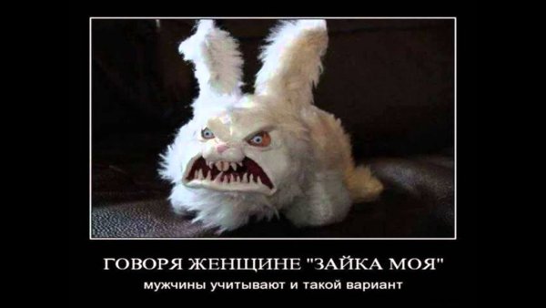 Демотиваторы приколы про животных