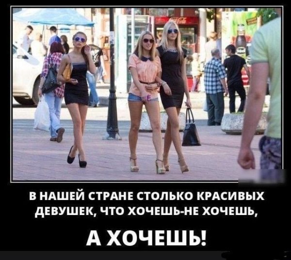 Демотиваторы про милицию