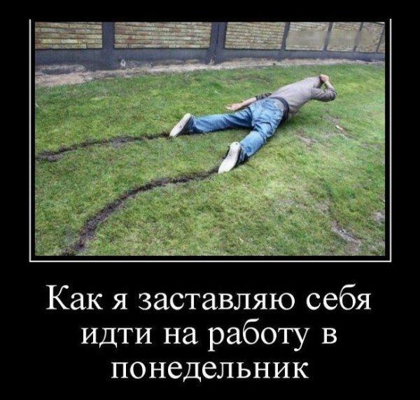 Прикольные демотиваторы