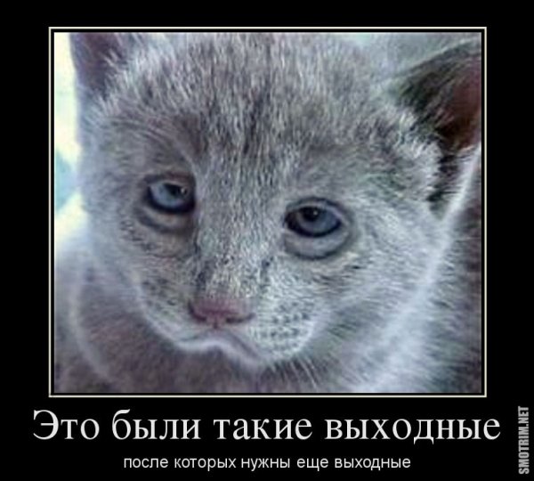 Утро понедельника