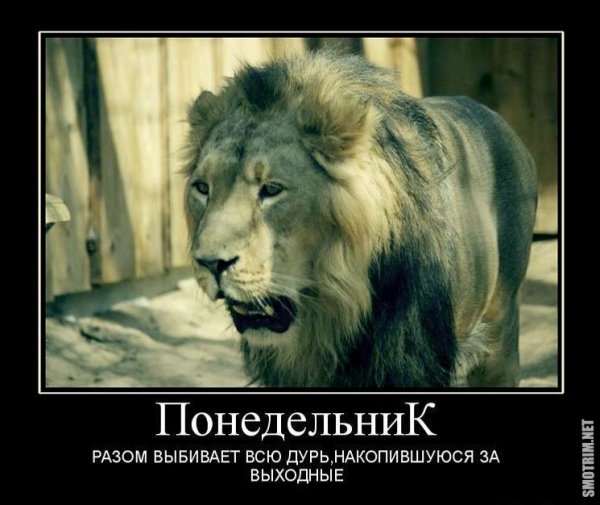 Шутки про понедельник