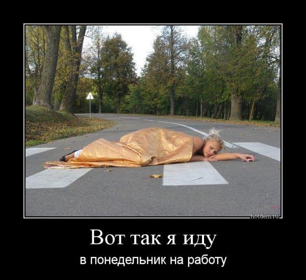 Утро понедельника
