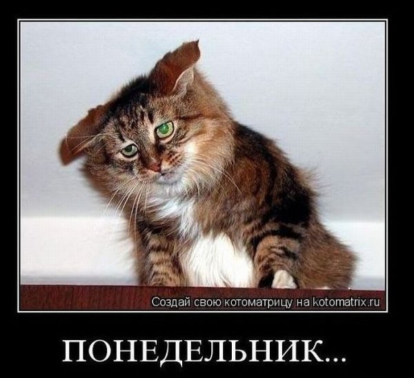 На работу после выходных