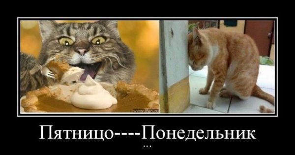 Понедельник демотиваторы