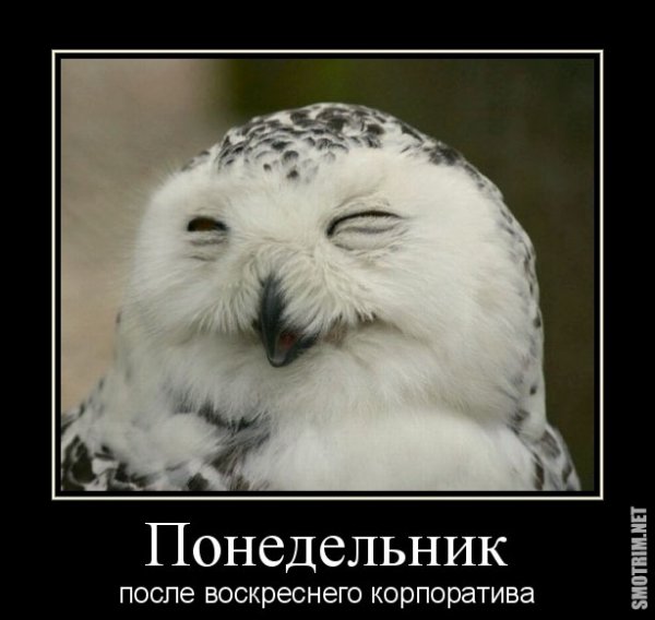 Понедельник день бездельник