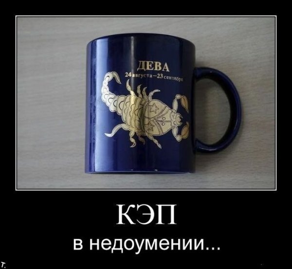 Спасибо кэп демотиваторы