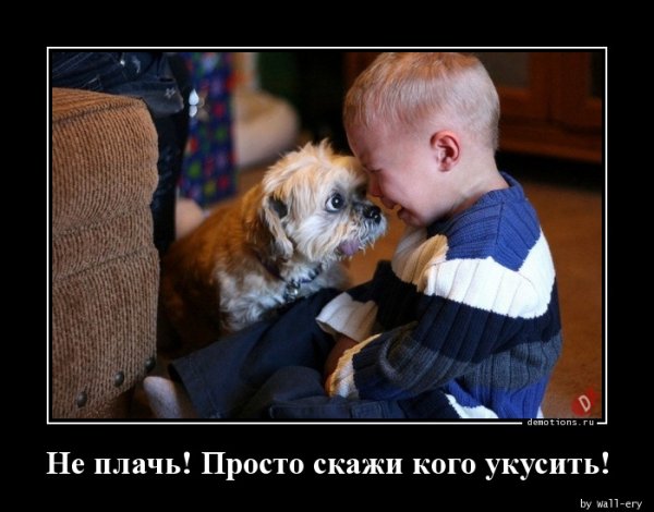 Весёлые слова поддержки