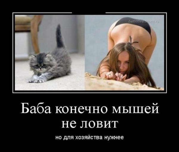 Картинки прикольные демотиваторы