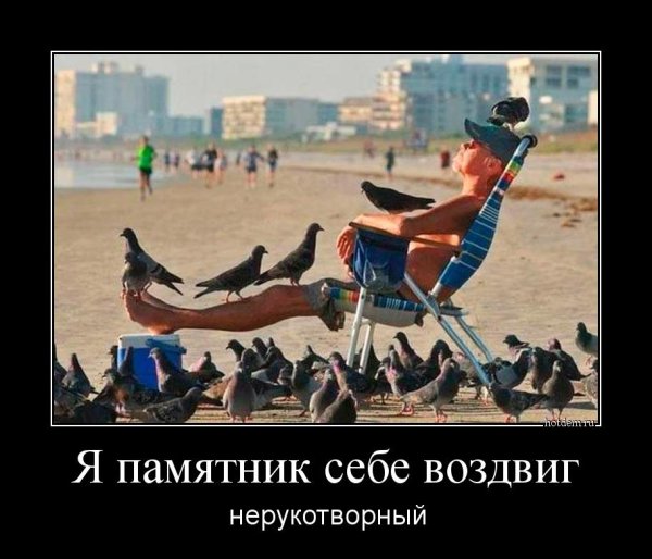 Подборка прикольных демотиваторов