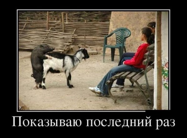 Демотиваторы приколы со смыслом