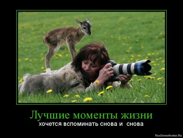 Демотиваторы со смыслом