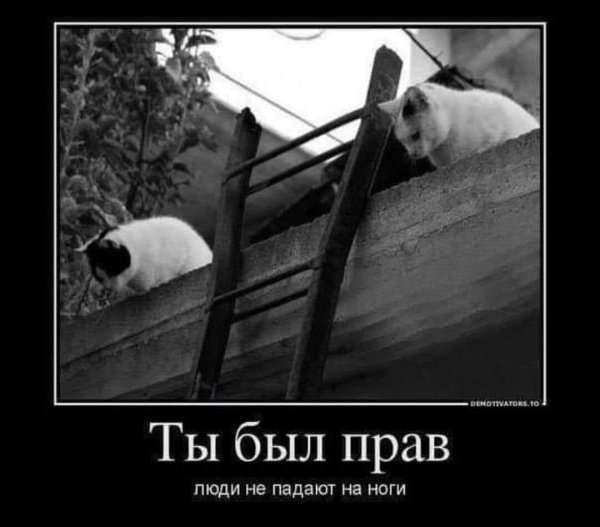 Демотиваторы юмор