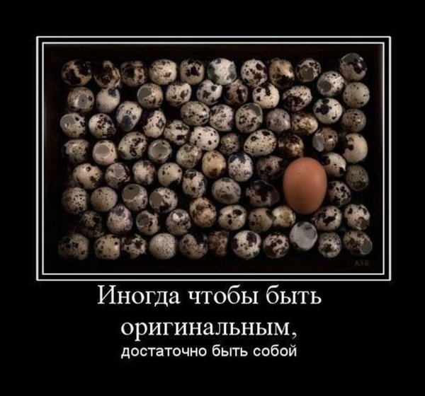 Оригинальные демотиваторы