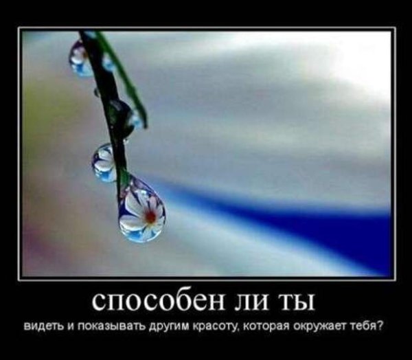 Красивые демотиваторы о жизни