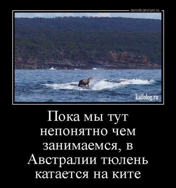 Прикольные демотиваторы со смыслом