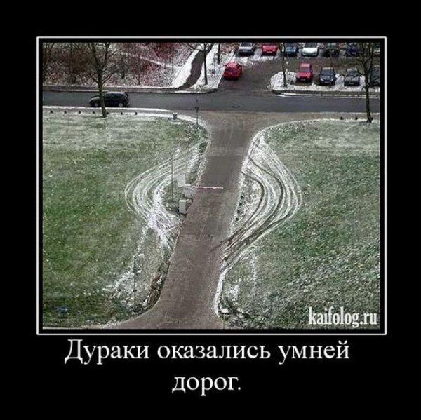 Дураки и дороги приколы