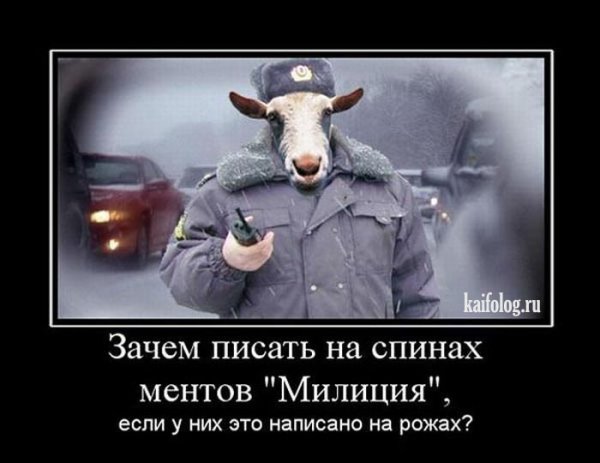 Демотиваторы про ментов смешные