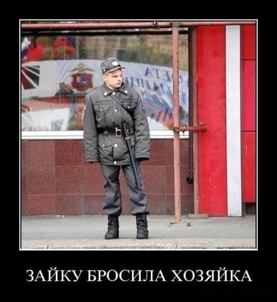 Господин полицейский демотиватор