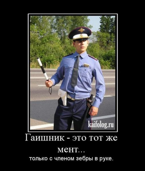 Демотиваторы про гаишников