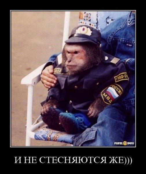 Обезьяна в милицейской форме