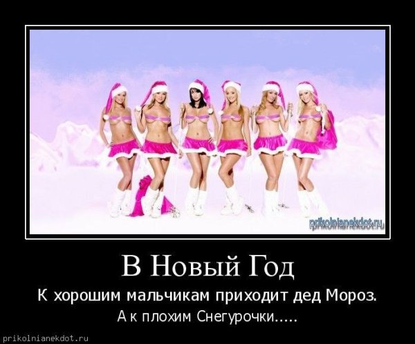 Снегурочки демотиваторы