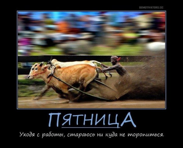 Демотиваторы приколы