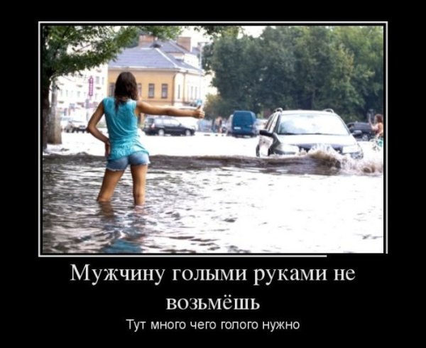 Картинки прикольные демотиваторы