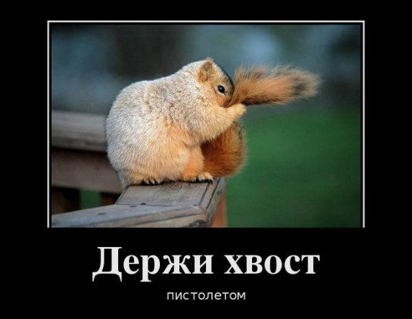 Позитивные демотиваторы для поднятия настроения