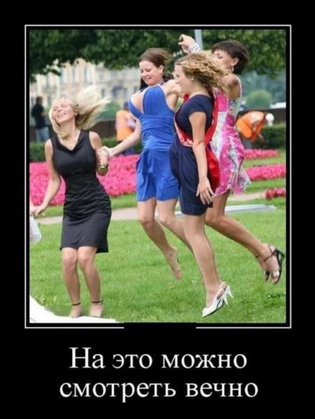 Ежик мотиватор