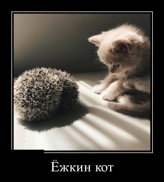 Прикольные демотиваторы