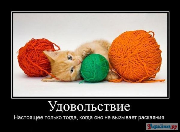 Демотиваторы для поднятия настроения