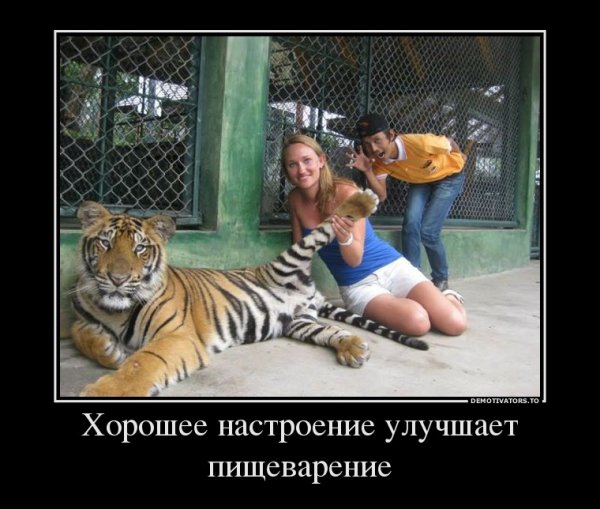 Юмор девушки