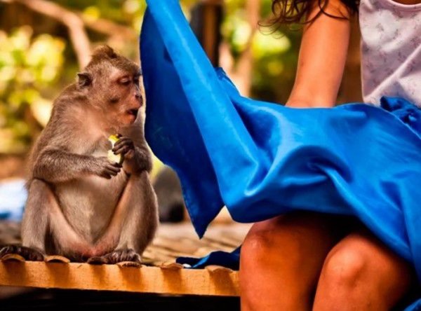 Демотиваторы смешные