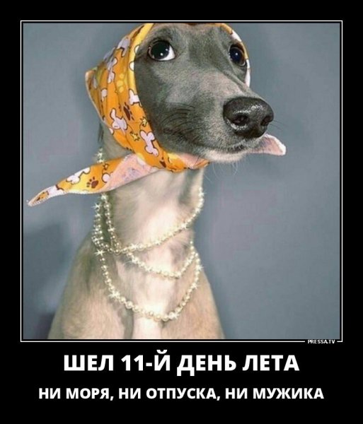 Прикольные демотиваторы для поднятия настроения