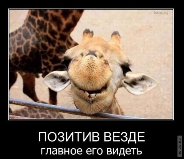 Угарные демотиваторы