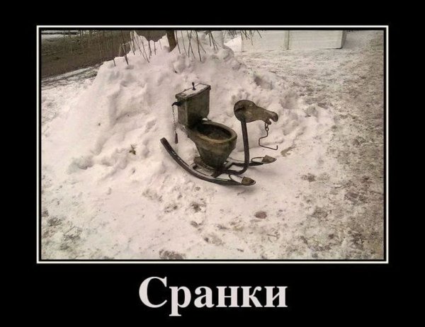 Весёлые демотиваторы для поднятия настроения