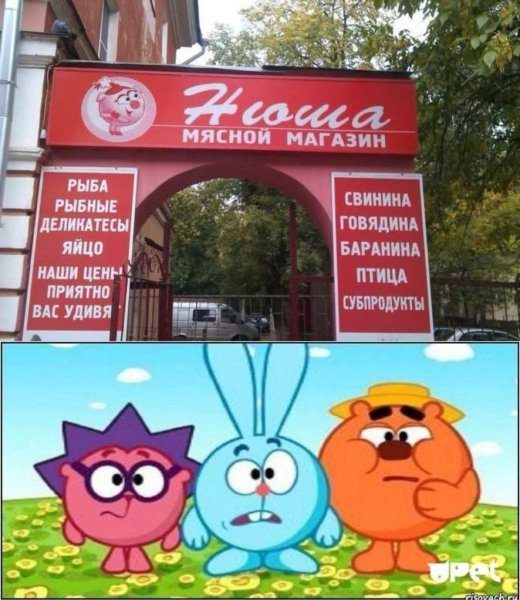 Анекдотыпоо смешариков