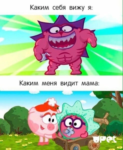 Смешарики приколы